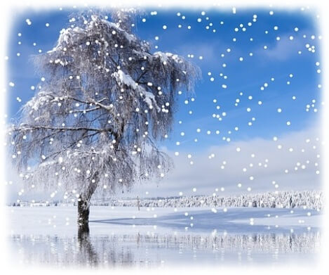 눈 내리는 풍경