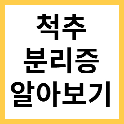 척추분리증에 좋은운동 및 치료 방법