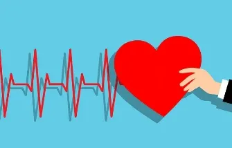 보건증 인터넷 발급