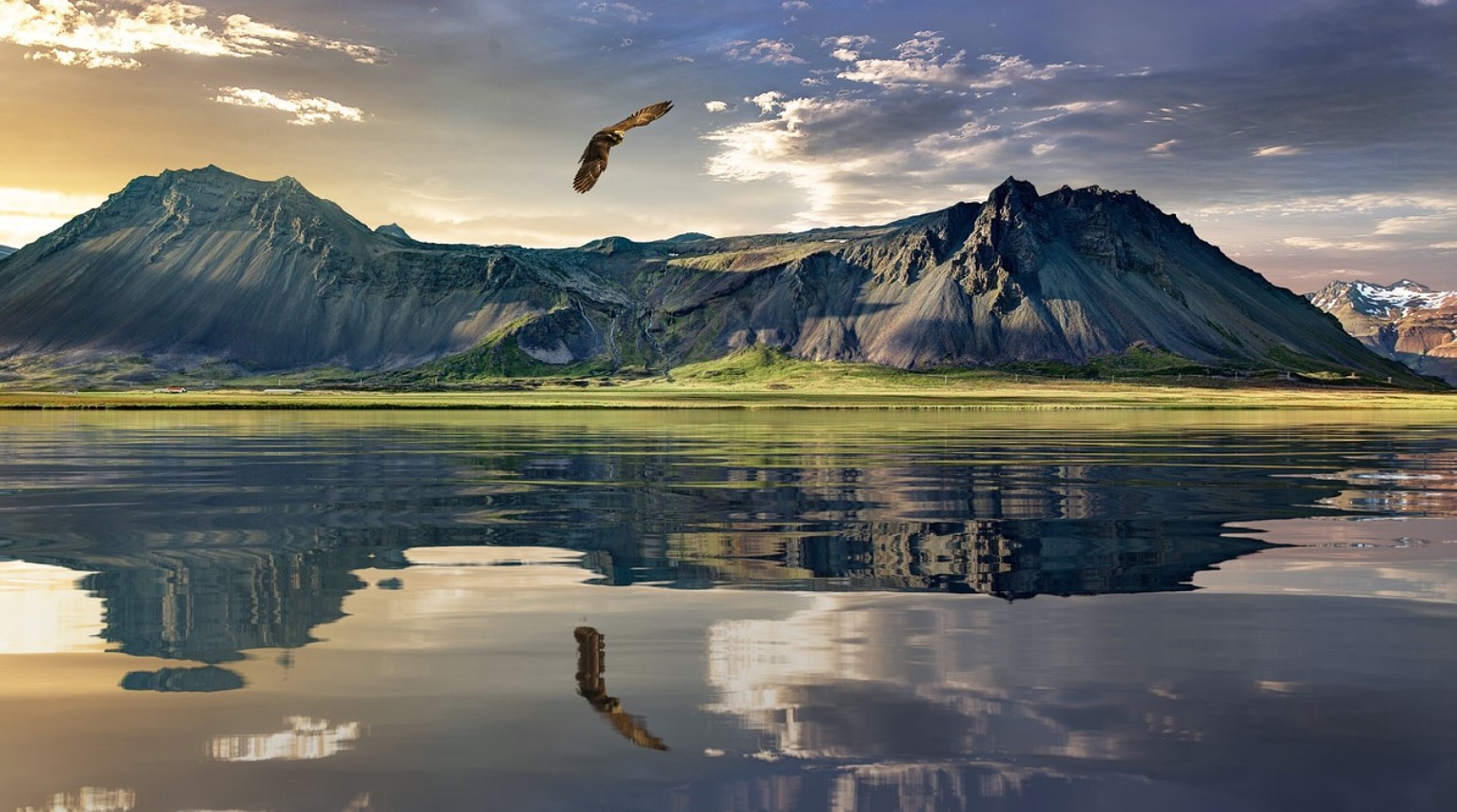 뉴질랜드 이민을 고려하는 이유 : 생활 환경, 교육 및 경제적 기회 측면