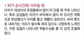 낚시 입질 파악 감도 좋은 채비 바늘 크기 조정 방법_11