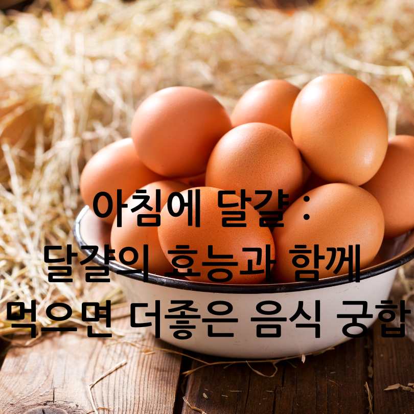 아침에 달걀, 왜 먹는 게 좋을까?