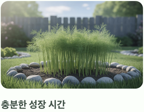 봄 심기, 성공으로 가는 가장 확실한 길