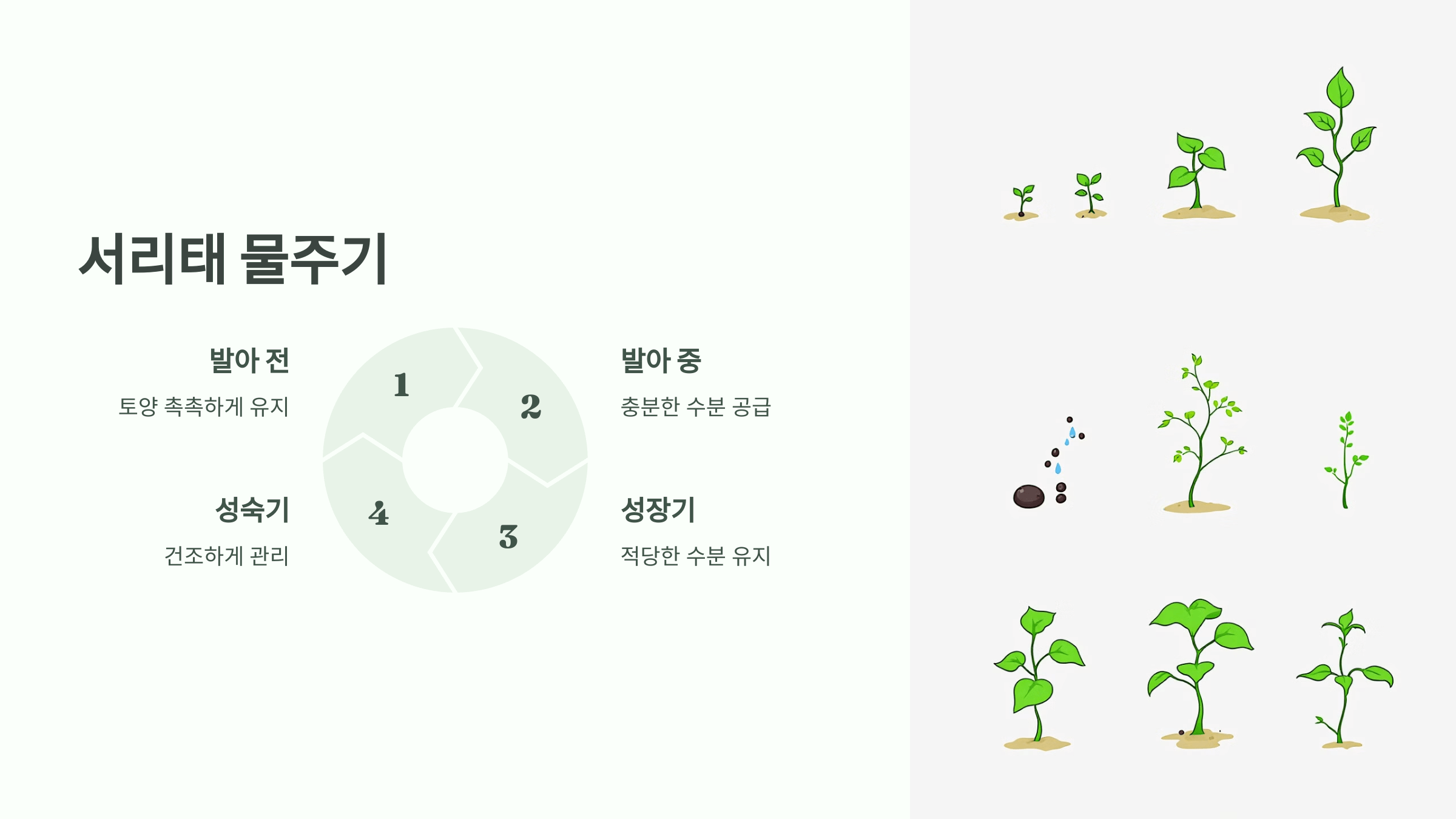 서리태 사진입니다.