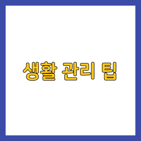 생활 관리 팁