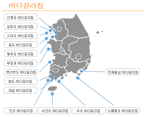 바다갈라짐