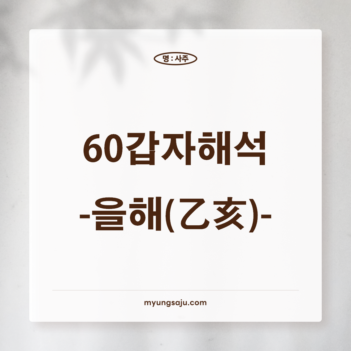 육십갑자 해석 (60갑자) - 을해일주, 을해년주, 을해시주, 을해월주, 을해대운, 을해세운, 을해일운
