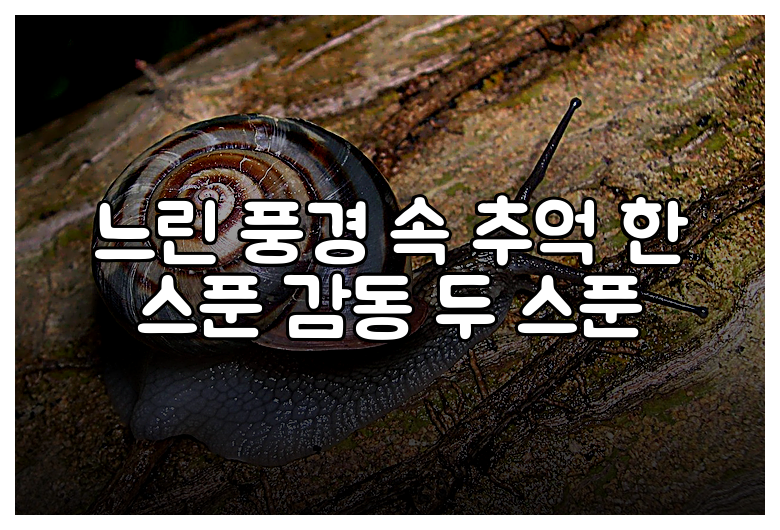 느린 풍경 속 추억 한 스푼 감동 두 스푼