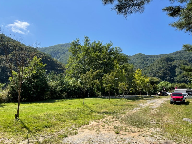 춘천 황금박쥐캠핑장 소개