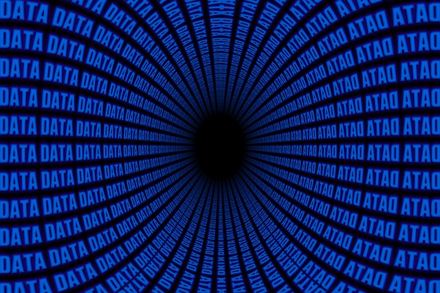 의료 영상 데이터셋 소개 (NIH Chest X-ray, TCIA 등)