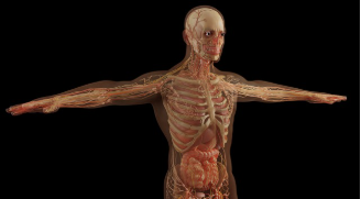 인공 장기 개발자: 생체공학과 3D 프린팅의 융합