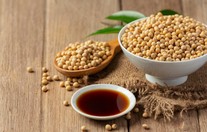 타하니&amp;#44; 레몬즙