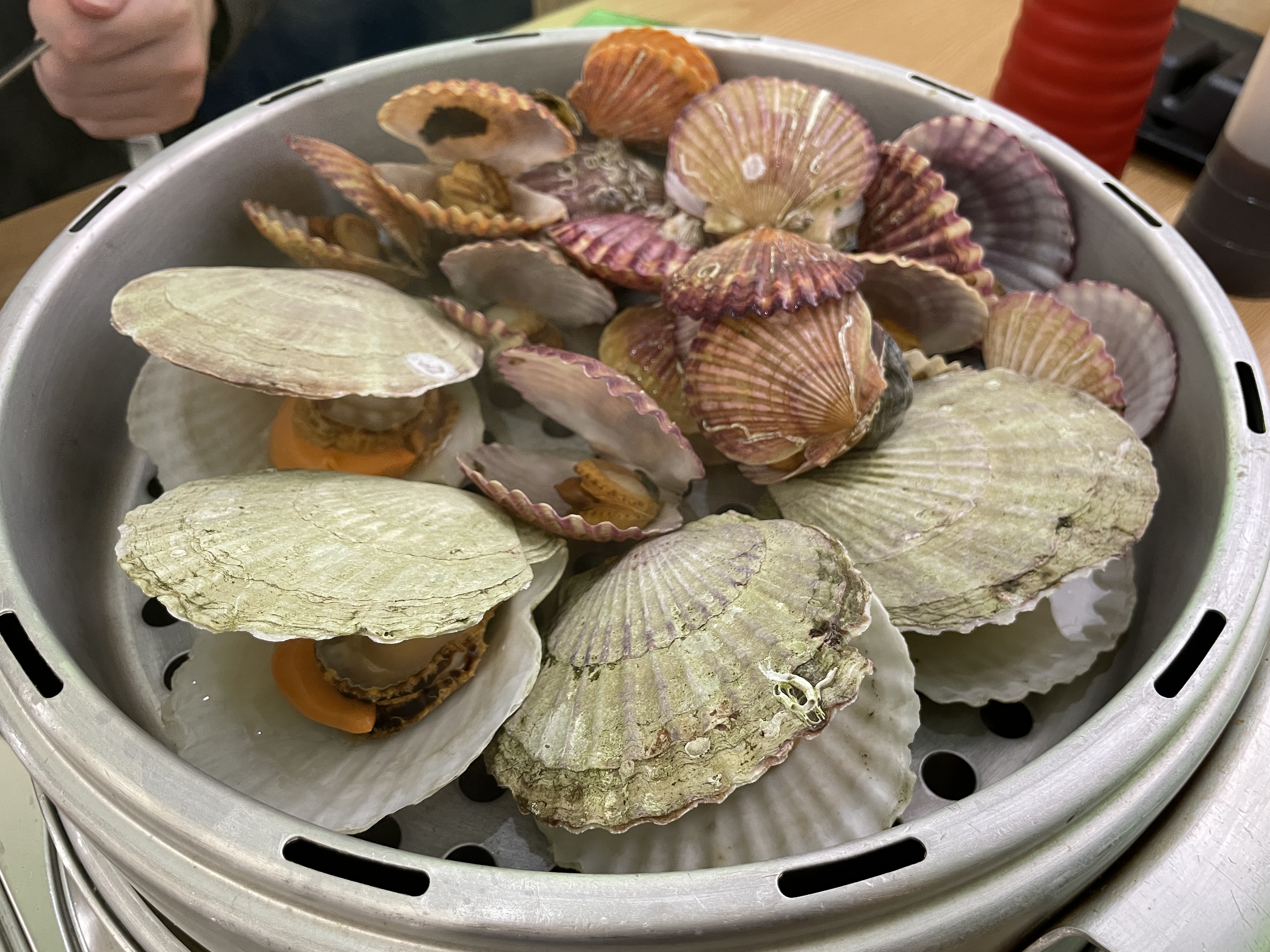 조개대통영 답십리점