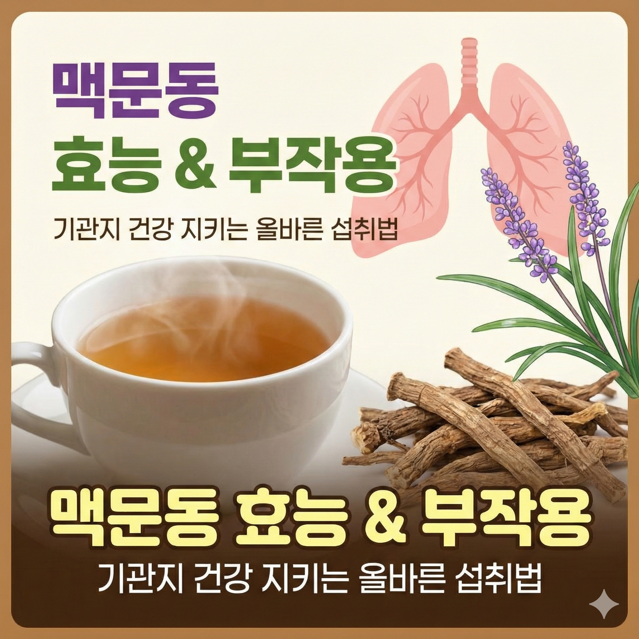 맥문동 효능 부작용 및 기관지 건강을 위한 올바른 섭취법 가이드