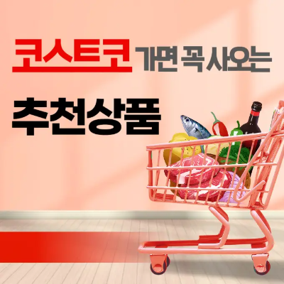 코스트코 추천상품