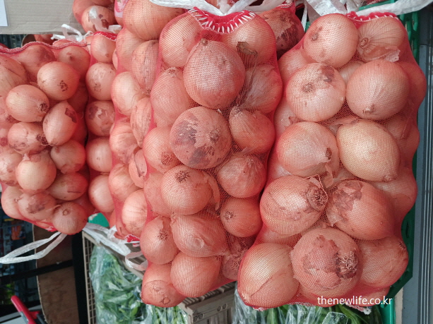 양파 – 식후 졸린 이유 예방에 도움이 되는 양파