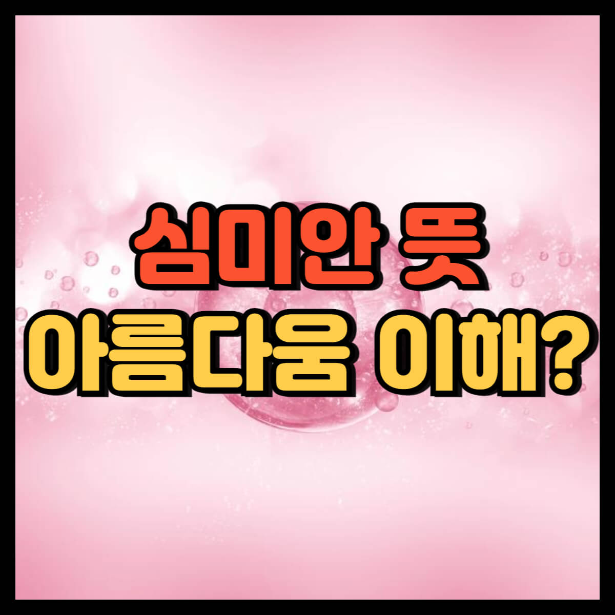심미안 뜻