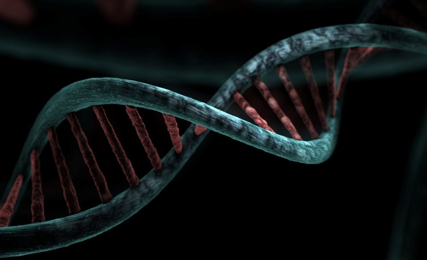 가족을 위한 암 정보 가이드