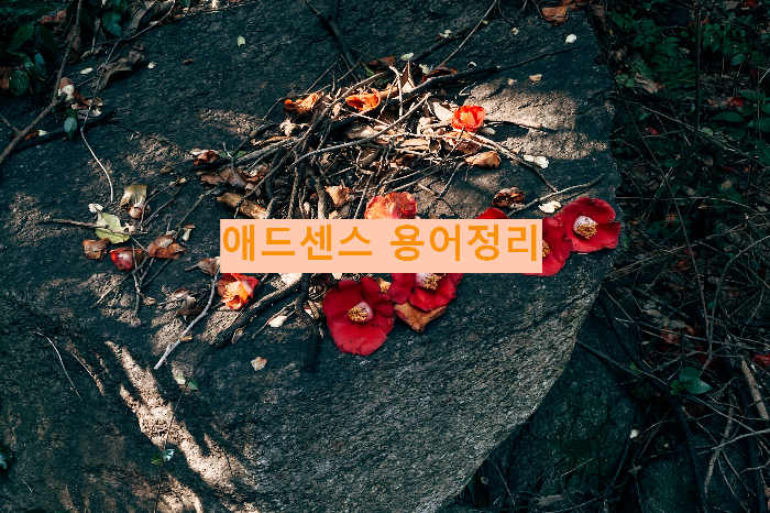 애드센스 용어정리
