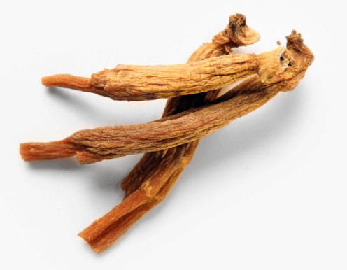 홍삼의 효능, 부작용, 한의학, 의학