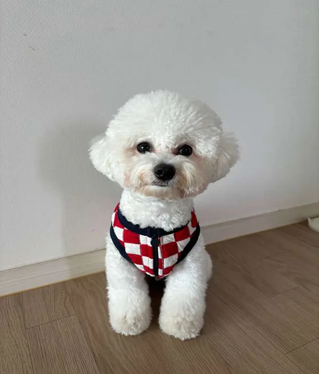 보라매공원