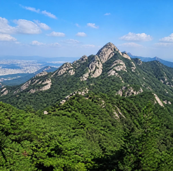 등산 앱 데이터로 뜯어보는 국내 명산 20곳 - 관악산