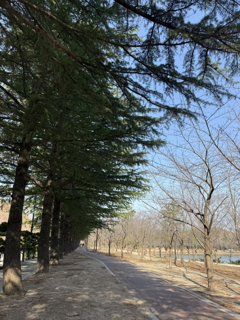 영랑호 산책로