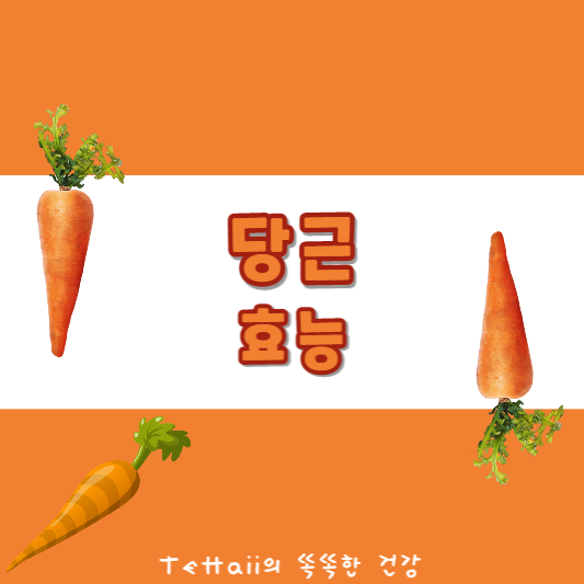 당근 대표 섬네일