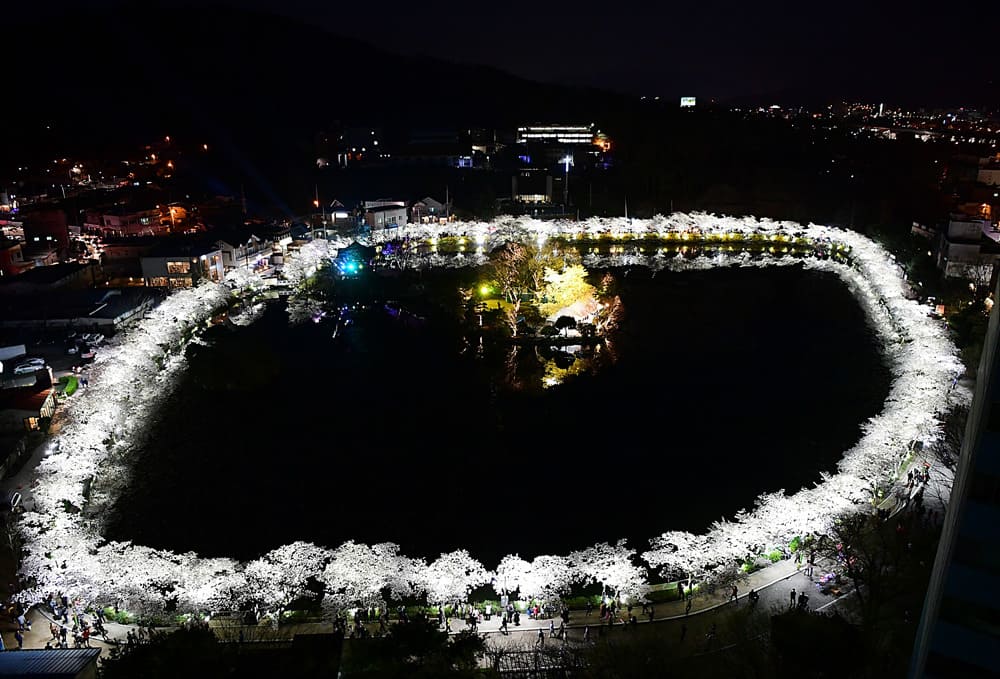 김천 연화지
