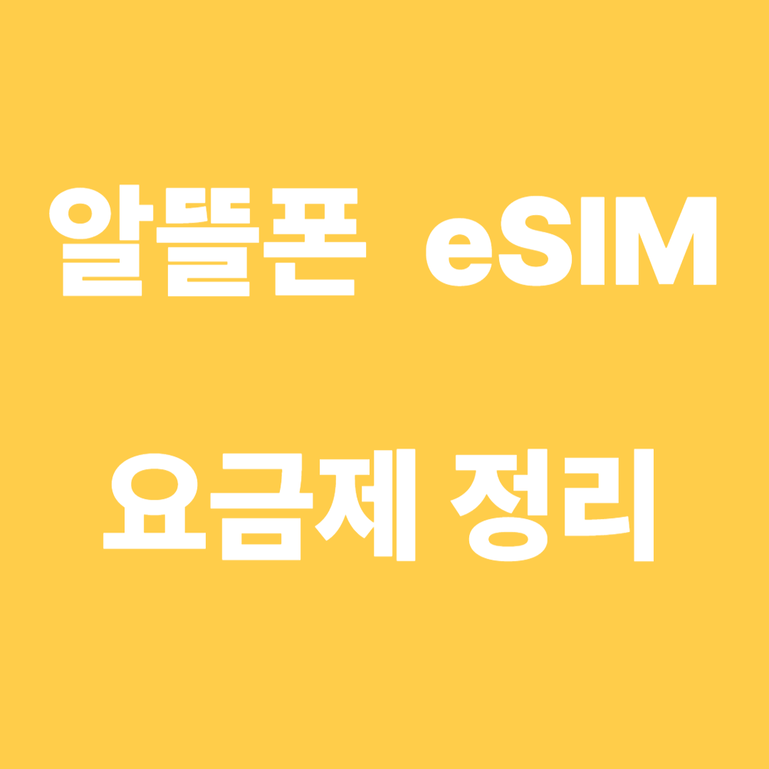 알뜰폰 eSIM 요금제 정리