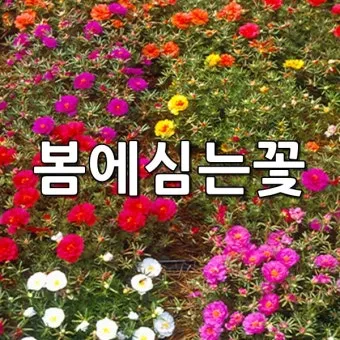 &amp;quot;8월에