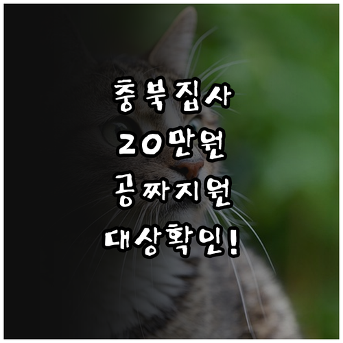 충북 반려묘 진료비 20만원 지원 대..