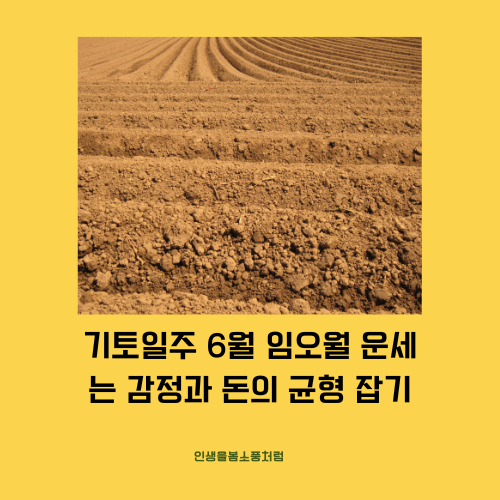 기토일주 6월 임오월 운세는 감정과 돈의 균형 잡기