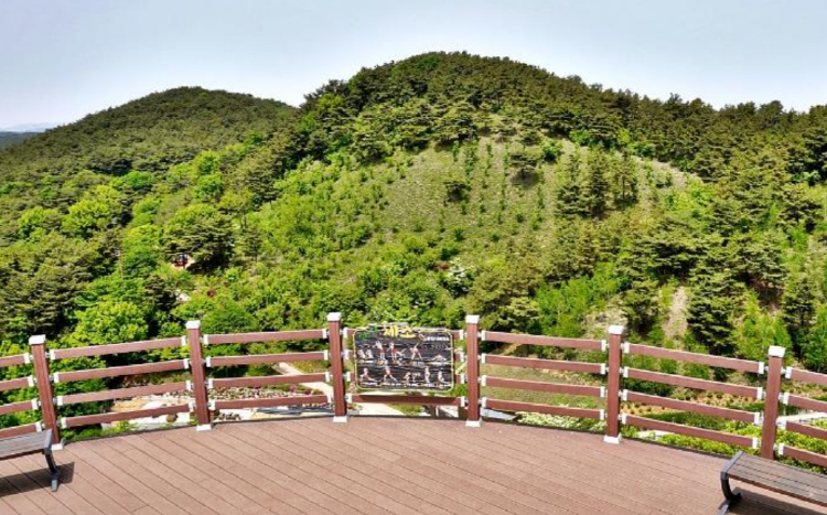 당진 삼선산수목원