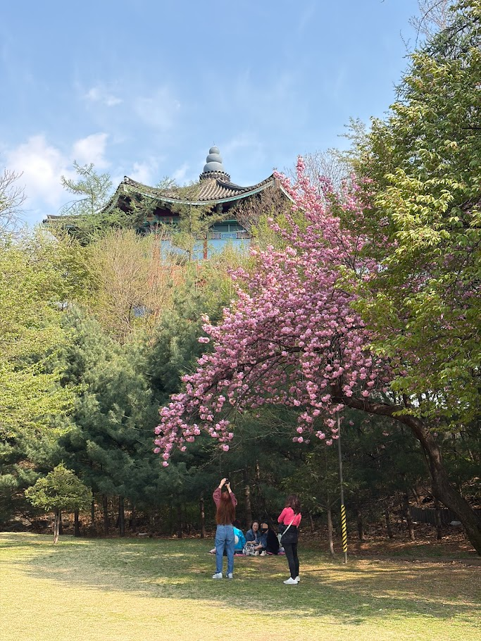 추억의 어린이대공원