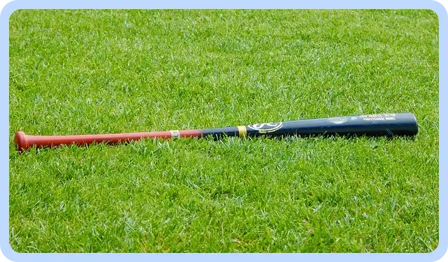 한국 쿠바 야구 중계