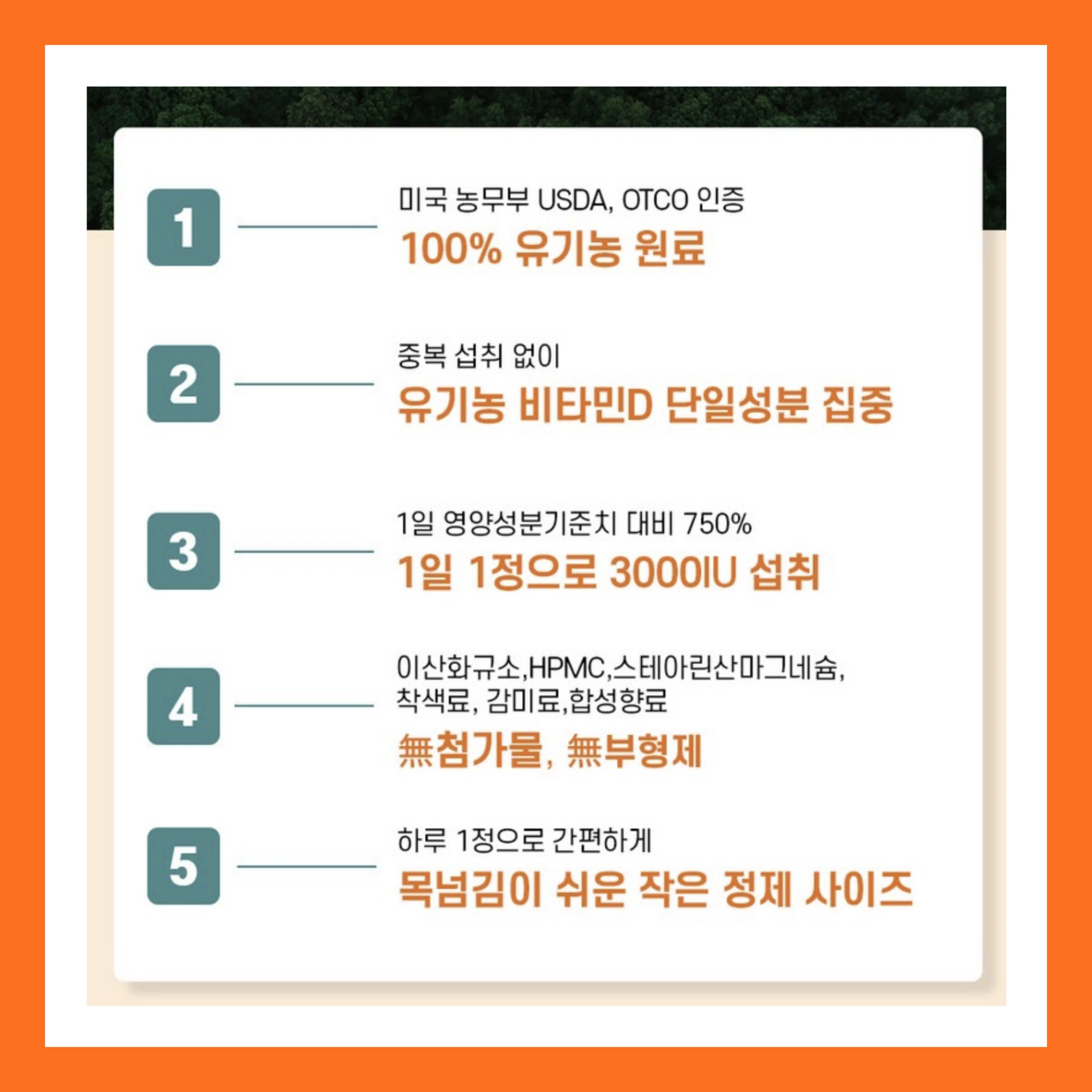 비타민D 추천 (4)