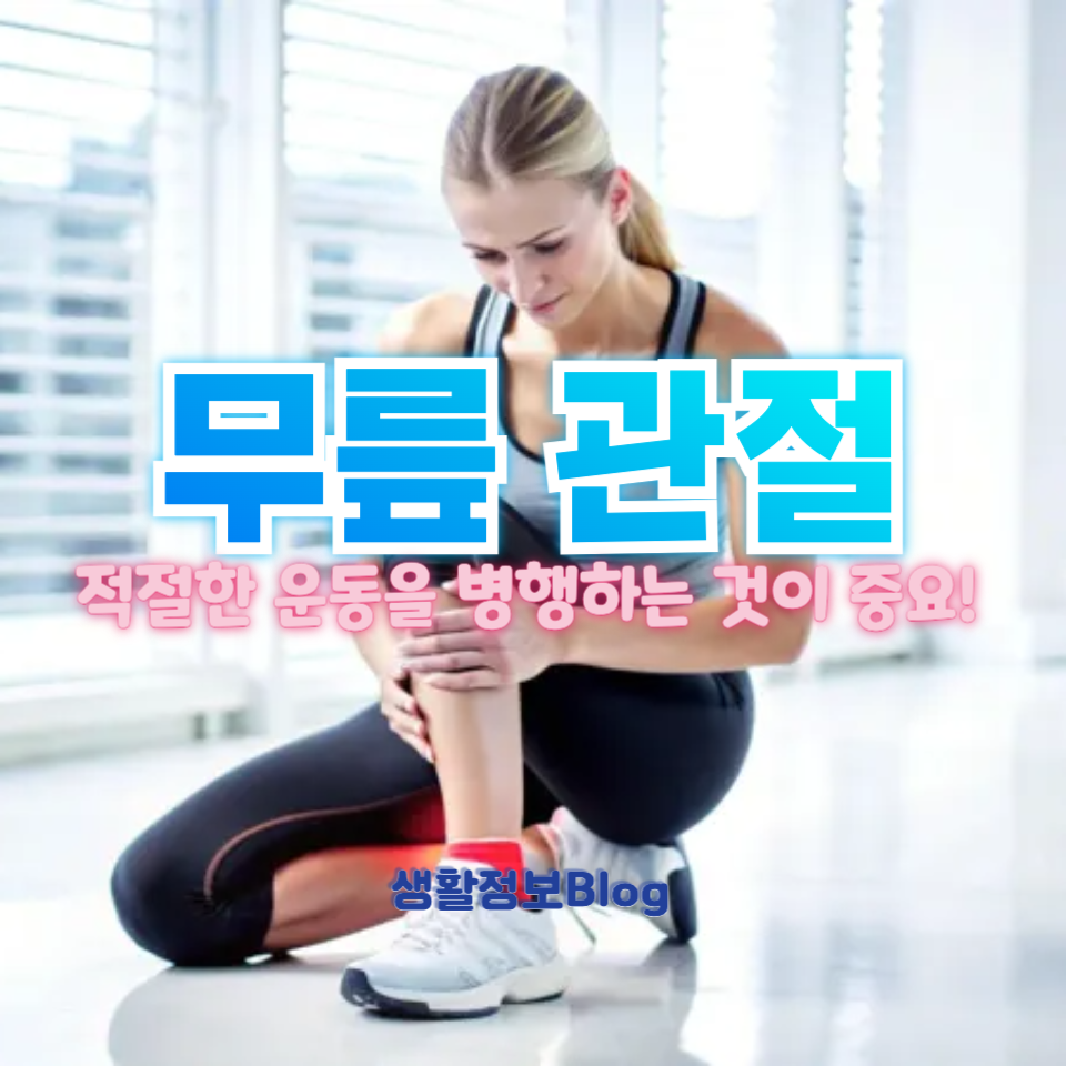 무릎 관절
