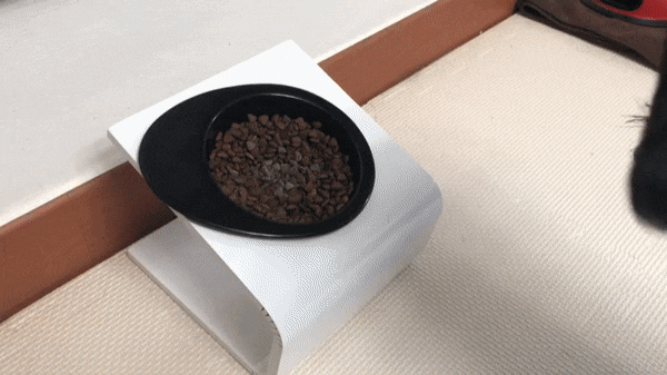 강아지입냄새 헬로맘마미아 반려동물 치석 제거제