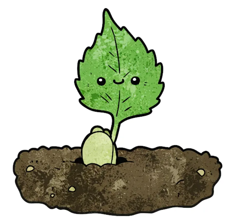 취나물 씨앗 파종시기-2