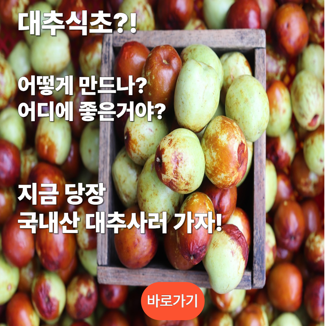 국내산 대추 사러가기