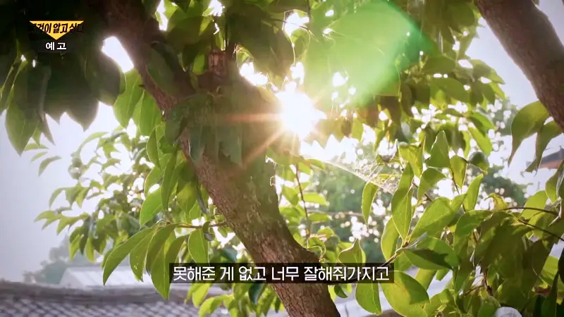 그알 그것이알고싶다 1인 3역 장군보살 살인마의 가스라이팅 동거남의 정체, 완주 동거녀 살인사건 1316회