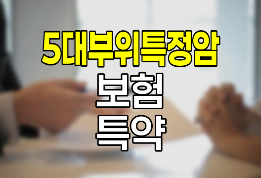 농협손해보험 5대부위특정암 보험 특약 심층 분석
