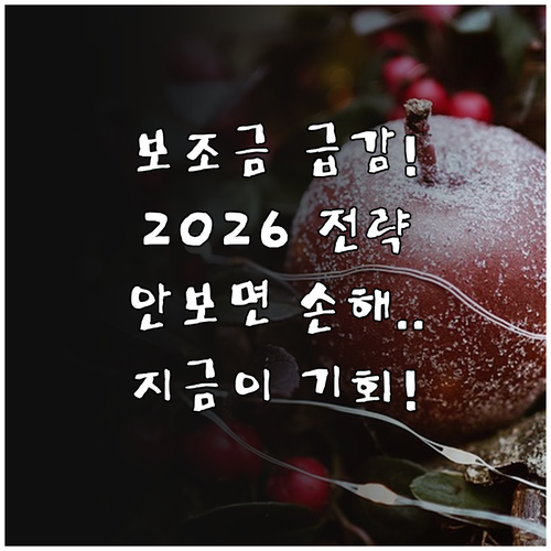 줄어드는 전기차 보조금 대비하는 20..