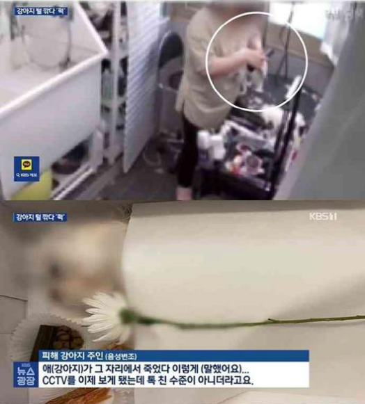 ์ฐฝ์ ์ ๊ฒฌ์ ๋ชฐํฐ์ฆ ์ผํฌ์ฌ