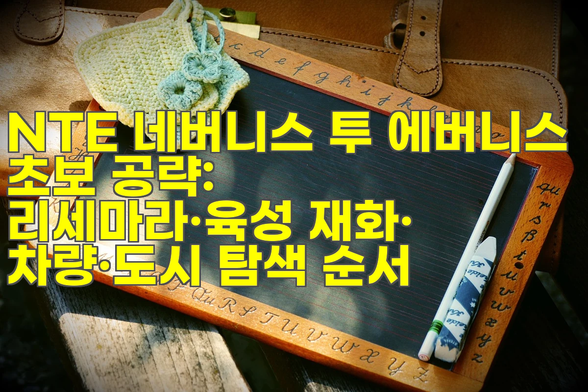 NTE 네버니스 투 에버니스 초보 공략