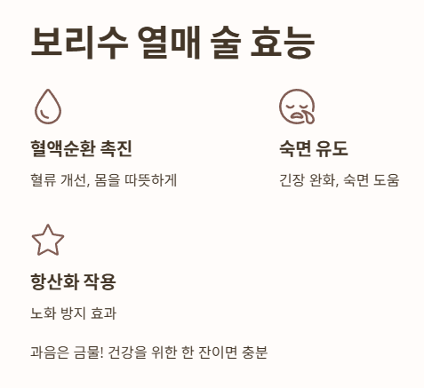 보리수 열매 술 효능