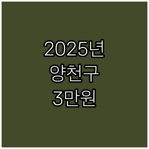 2025년 양천구 호국보훈, 3만원 ..