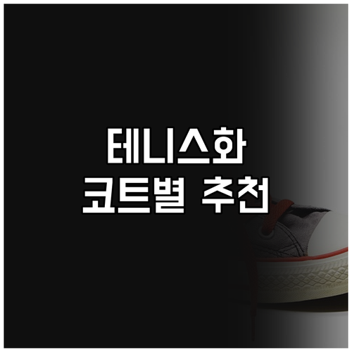 테니스화 추천 비교 인조잔디 클레이코..