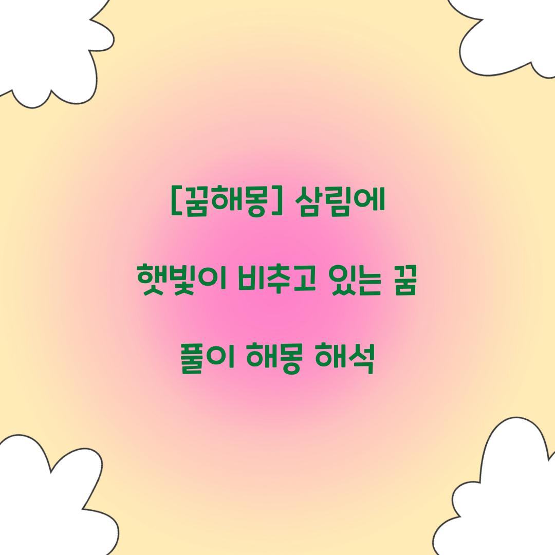 삼림에 햇빛이 비추고 있는 꿈 풀이 해몽 해석